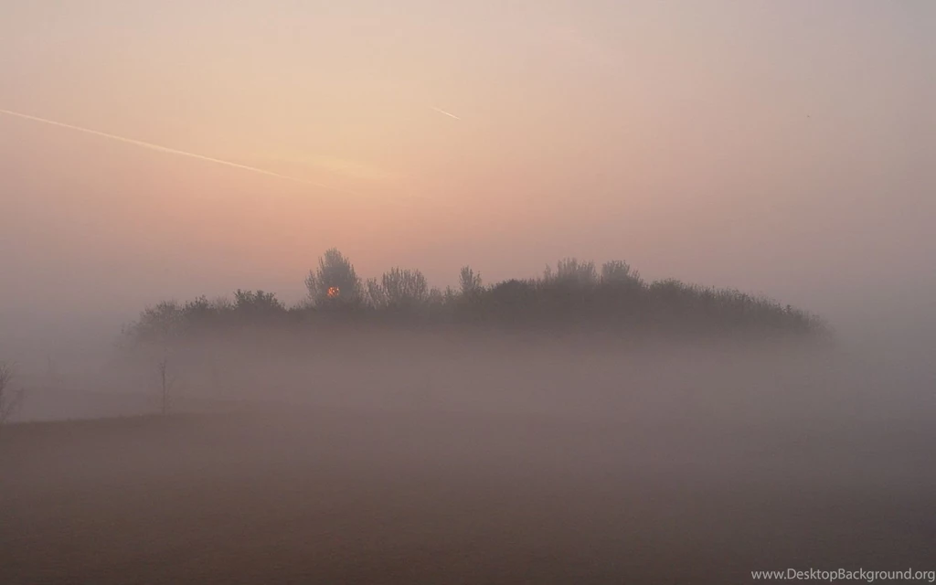 1680x1050 Foggy Morning Desktop PC And Mac Wallpapers