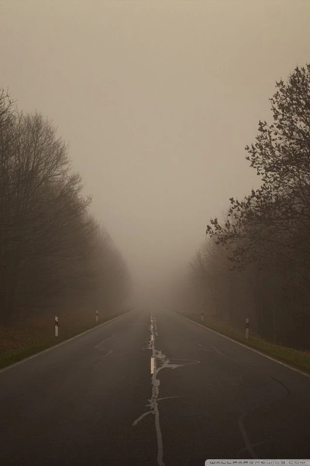 On A Foggy Day HD Desktop Wallpapers : High Definition : Fullscreen ...