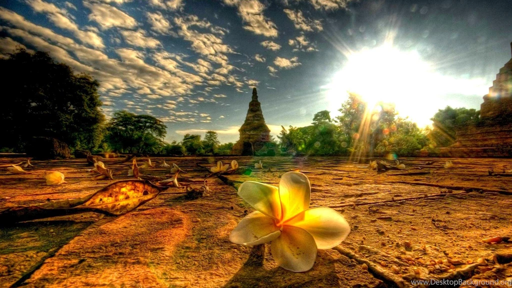 Temple Site Scene HD Desktop Wallpapers : Widescreen : High ...