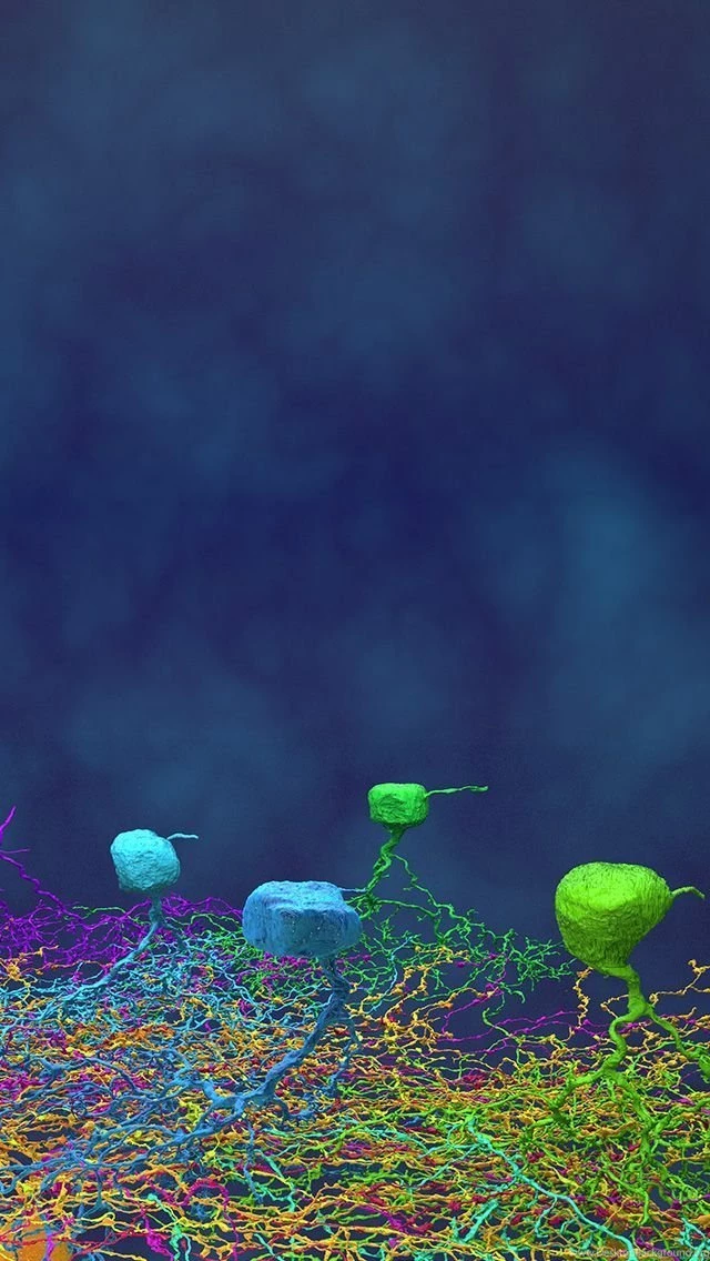 EyeWire iphone5 background ganglions.jpg