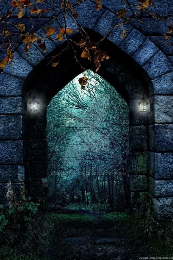 Forest Backgrounds FGM By FairieGoodMother On DeviantArt