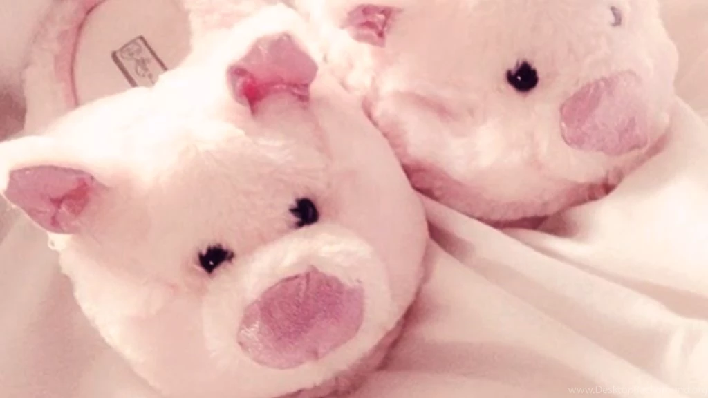 Wallpapers Piggy Slippers By Besersilady By Besersilady On DeviantArt