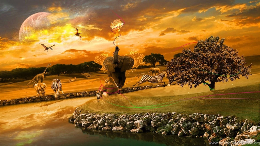 Africa HD Wallpaper, Africa Backgrounds, Africa Photos, New Wallpapers