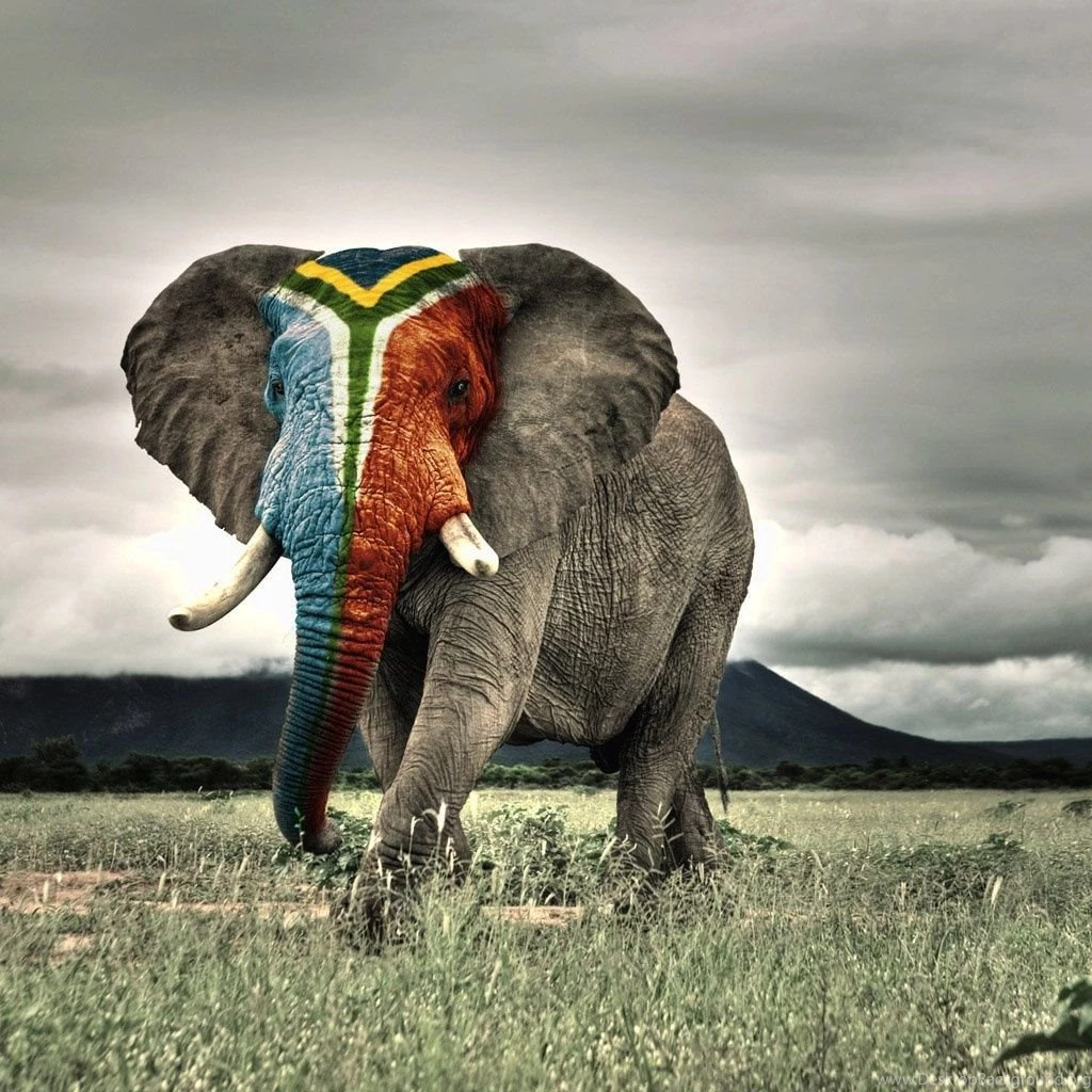 Africa iPad Wallpapers