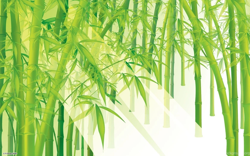 Gallery For Bamboo Plants Wallpapers Design