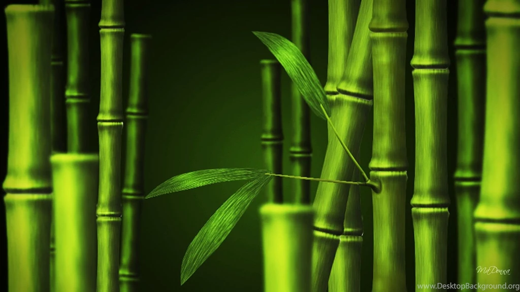 Bamboo Wallpapers