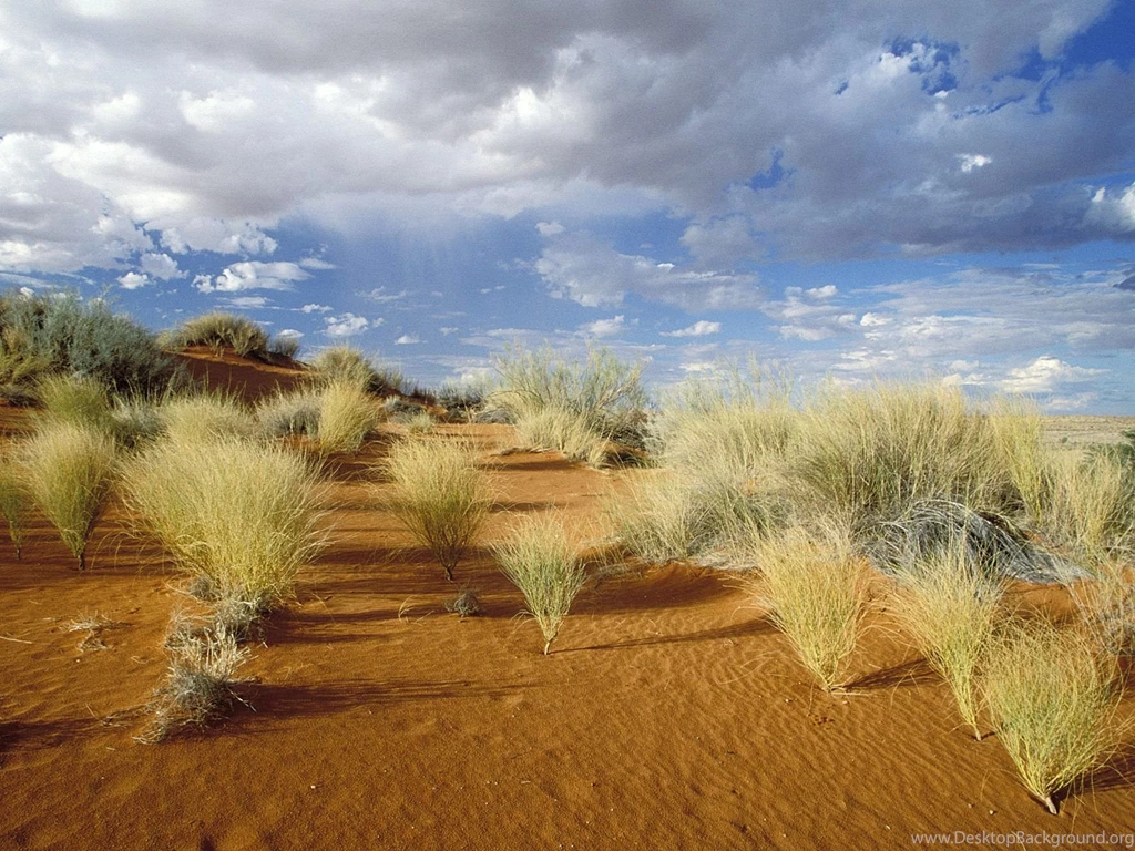 Kgalagadi Transfrontier Park / South Africa Wallpapers And Images ...