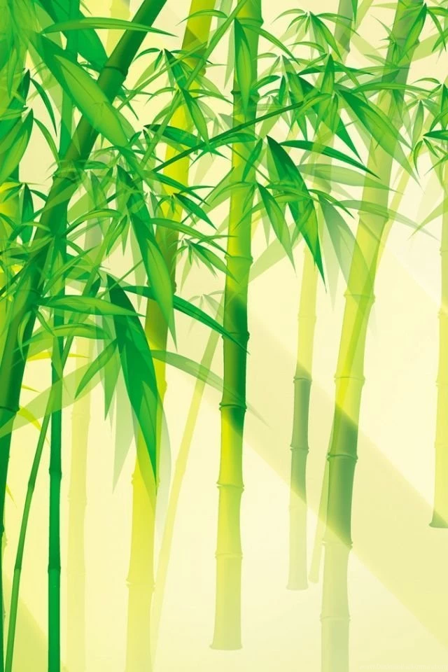 640x960 Bamboo Scene Iphone 4 Wallpapers