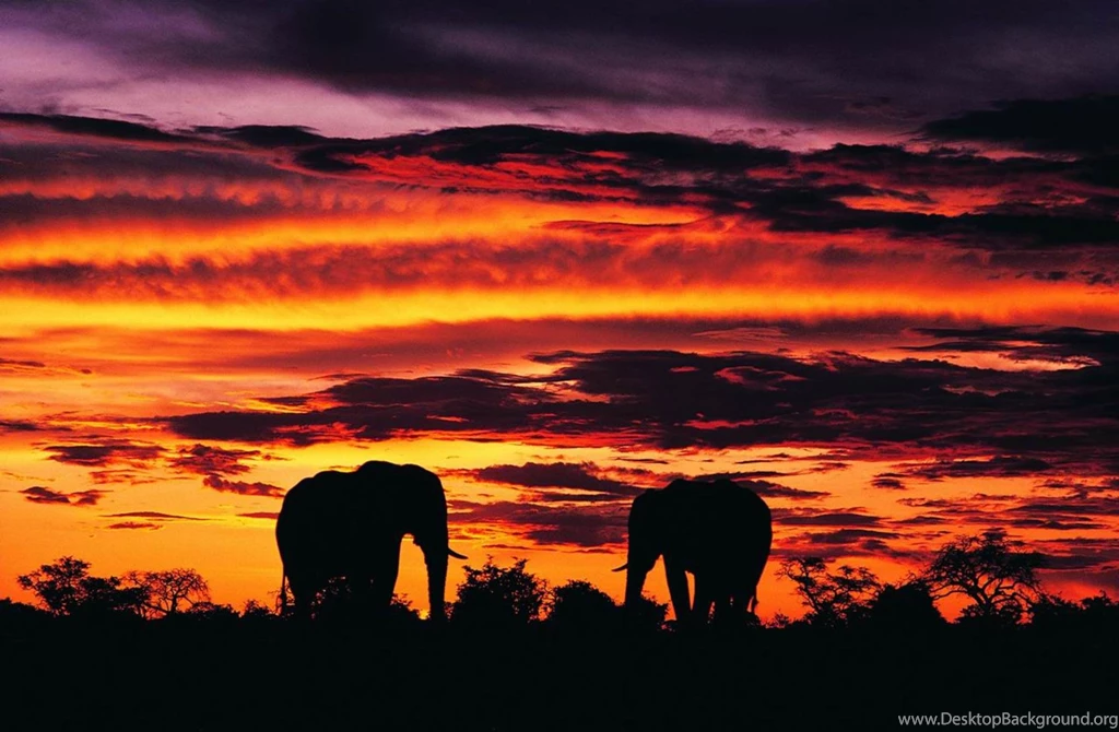 Fantasy Africa Wilds Desktop