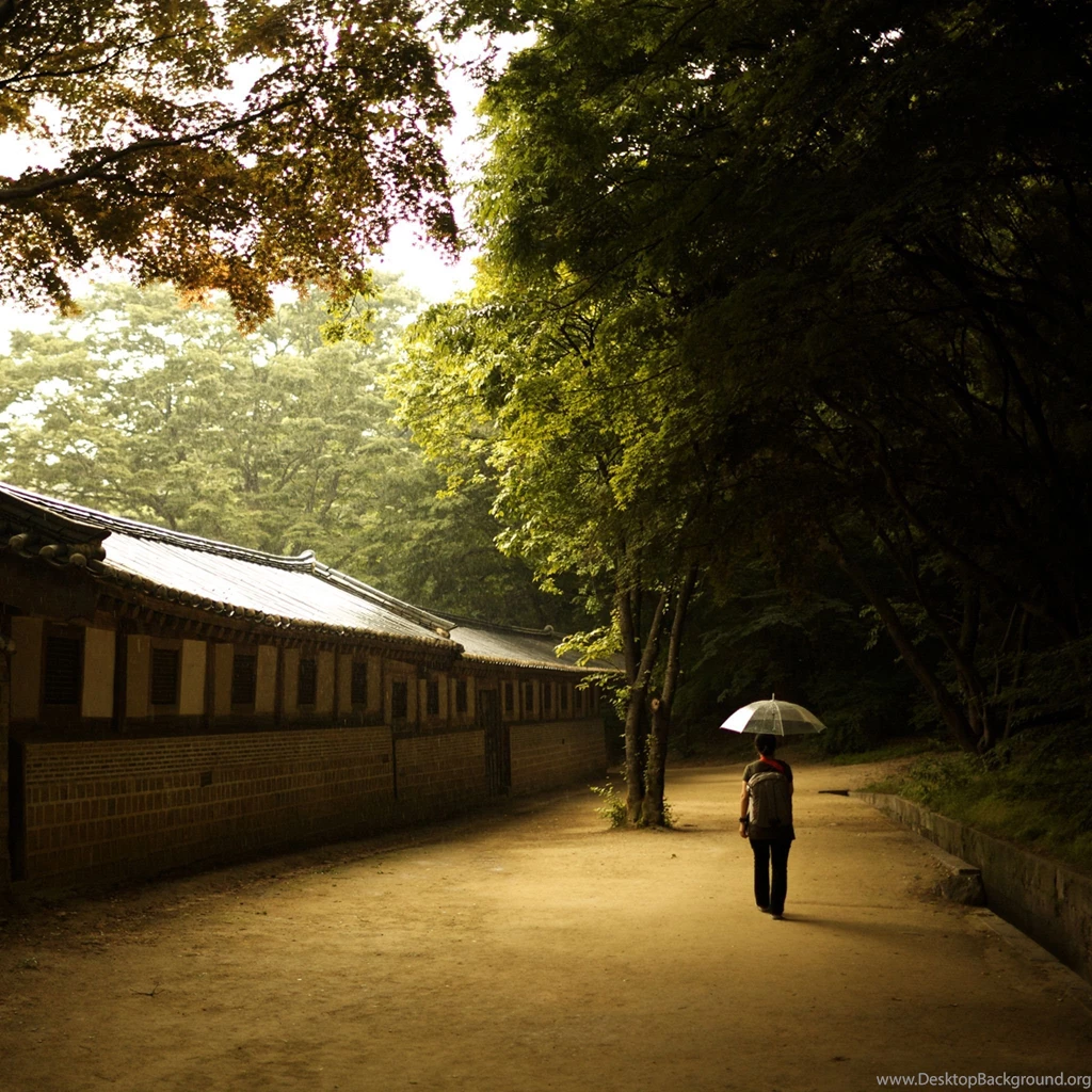 Solace wallpaper ipad retina hd   5651   The Wondrous Pics