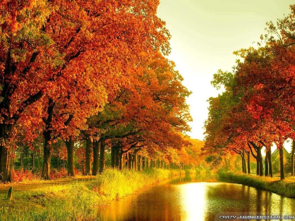 Gallery For Desktop Wallpapers Autumn Scenes