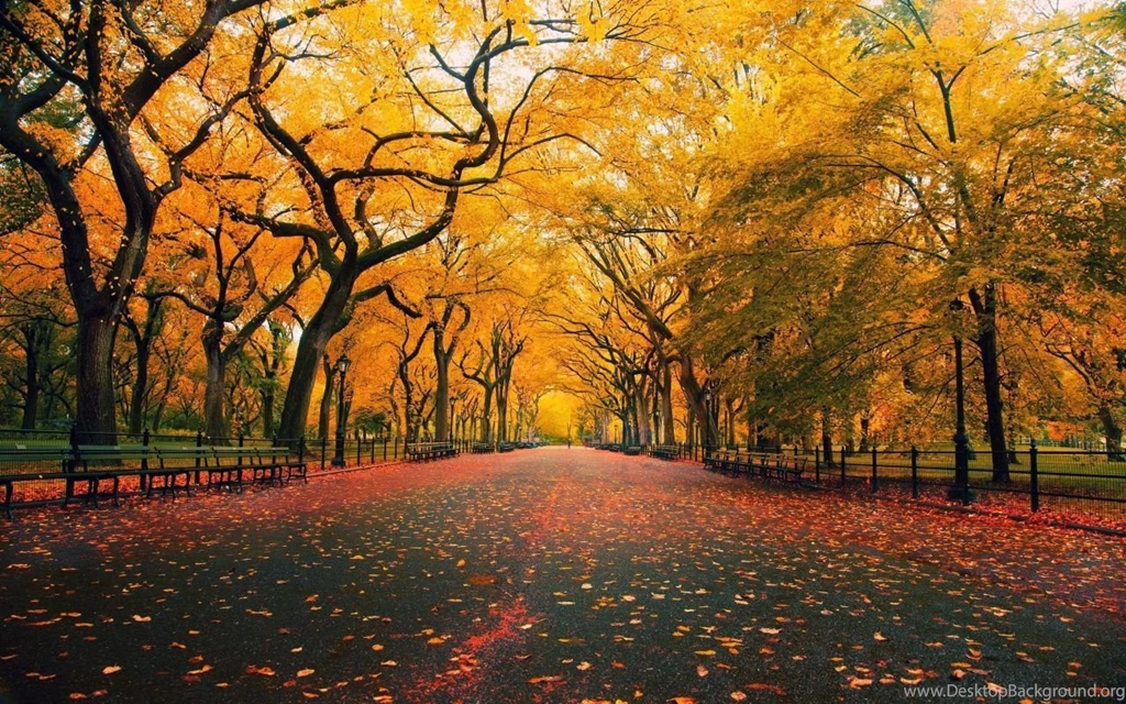 Gallery For   Autumn Themed Desktop Wallpapers