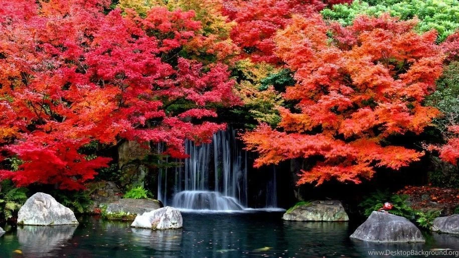 Autumn Falls Desktop Backgrounds Hd Wallpapers 1629361 2560x1600 ...