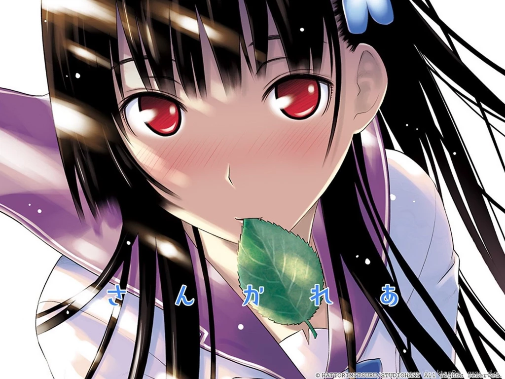 1600x1200px 314.28 KB Sankarea