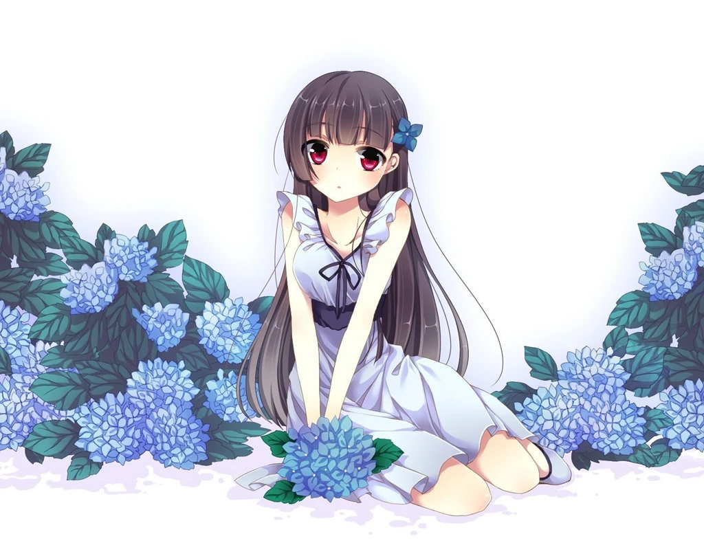 Wallpapers Sankarea Anime Image