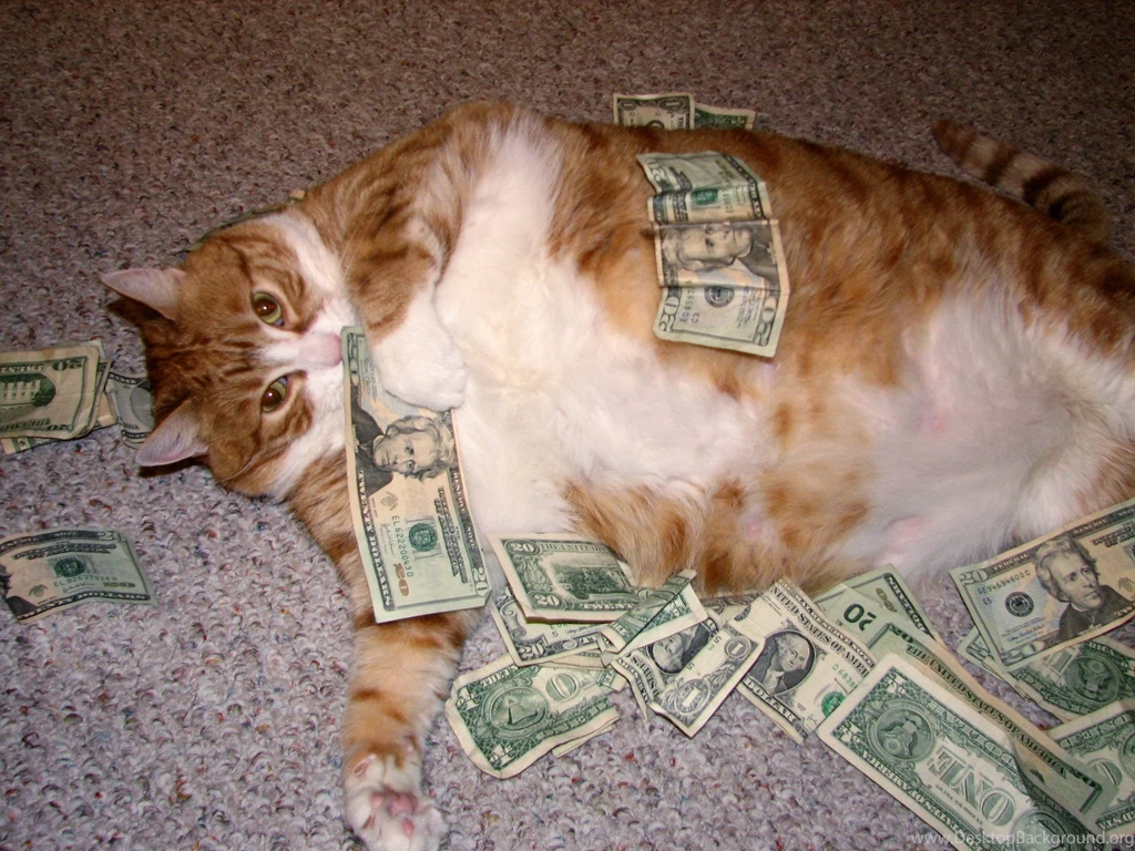 Rollin' In Dough   Cats Wallpapers
