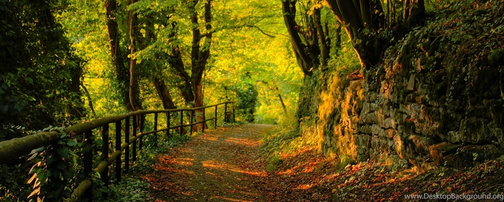 Autumn Dual Monitor 2560 X 1024 Wallpapers