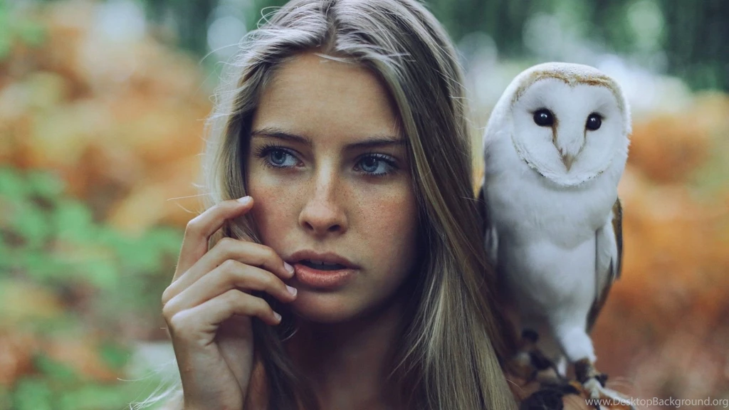 Blue Eyes Girl White Owl Ultra Hd Wallpapers   Ultra High ...