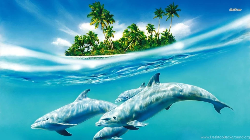 Dolphin Family Wallpapers Fantasy Wallpapers