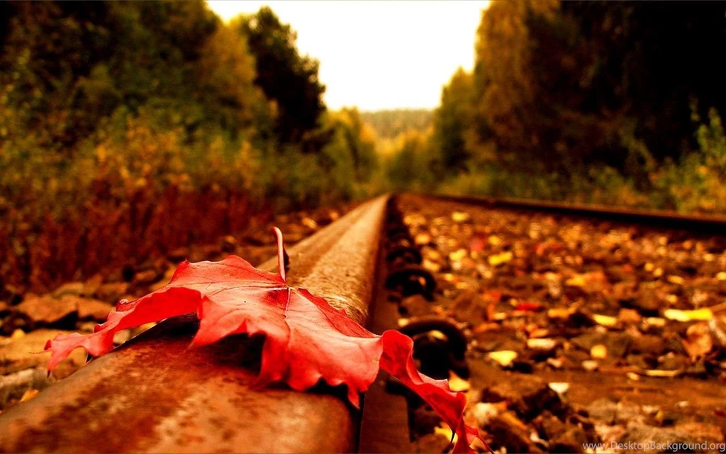 Autumn Images For Your Desktop Background: Beautiful By Free ...