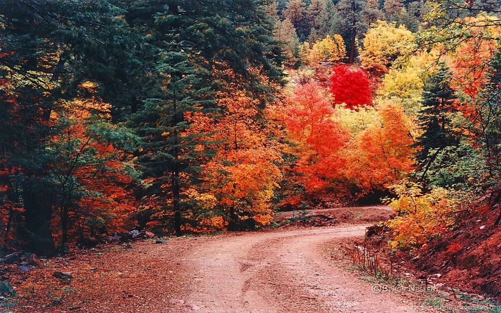 Byron Neslen Fine Art Photography