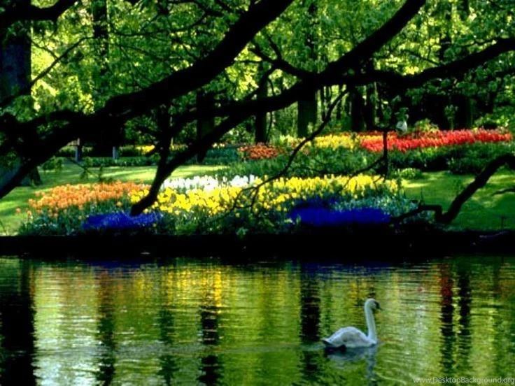 Photos Of Spring Scenes