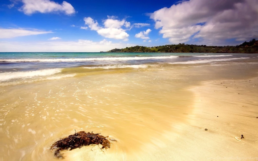 Beach Summer Backgrounds Backgrounds Web Nature Imagery Pictures ...
