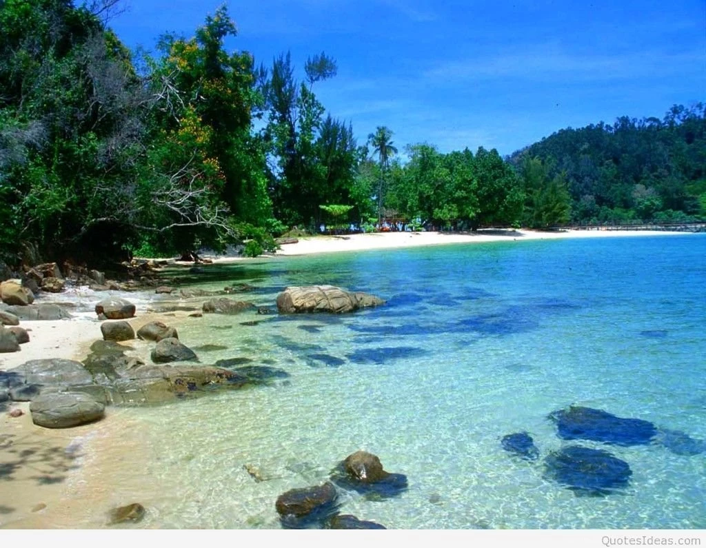 Beach Summer Wallpapers