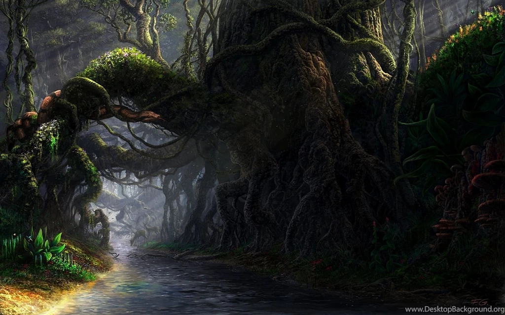 Fantasy Forest Wallpapers Widescreen Resolution