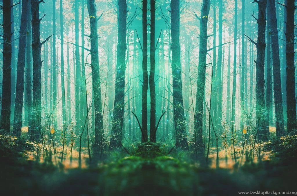 Fantasy Forest Wallpapers By Starnightx On DeviantArt