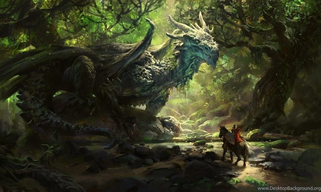 Most Beautiful Forest Wallpapers