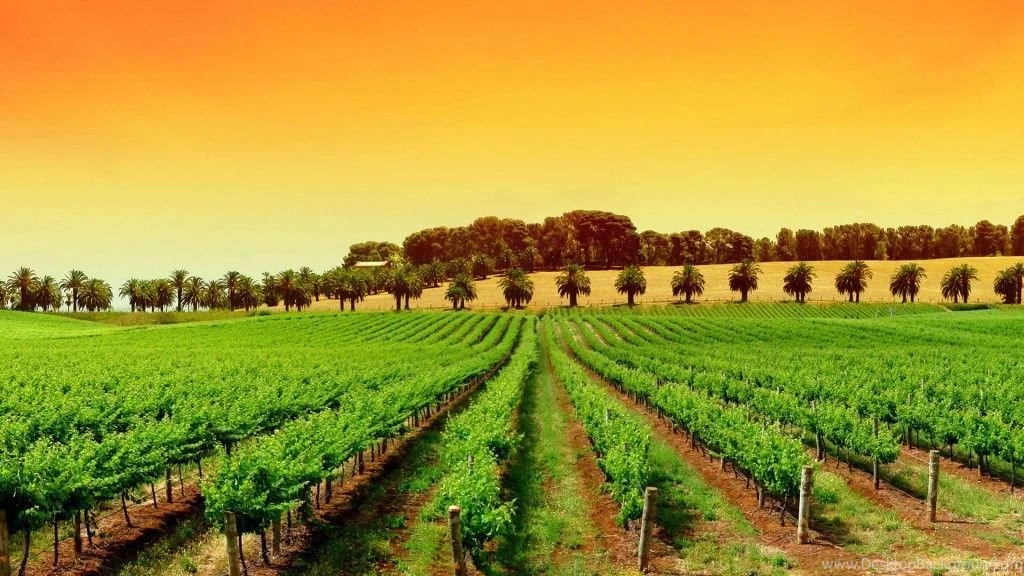 Hop Into Spring With 15 Desktop Wallpapers For Springtime