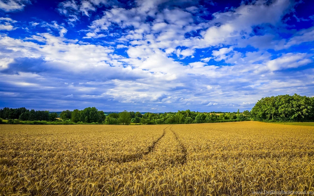 Download Farm Wallpapers 2519 1920x1080 Px High Resolution ...