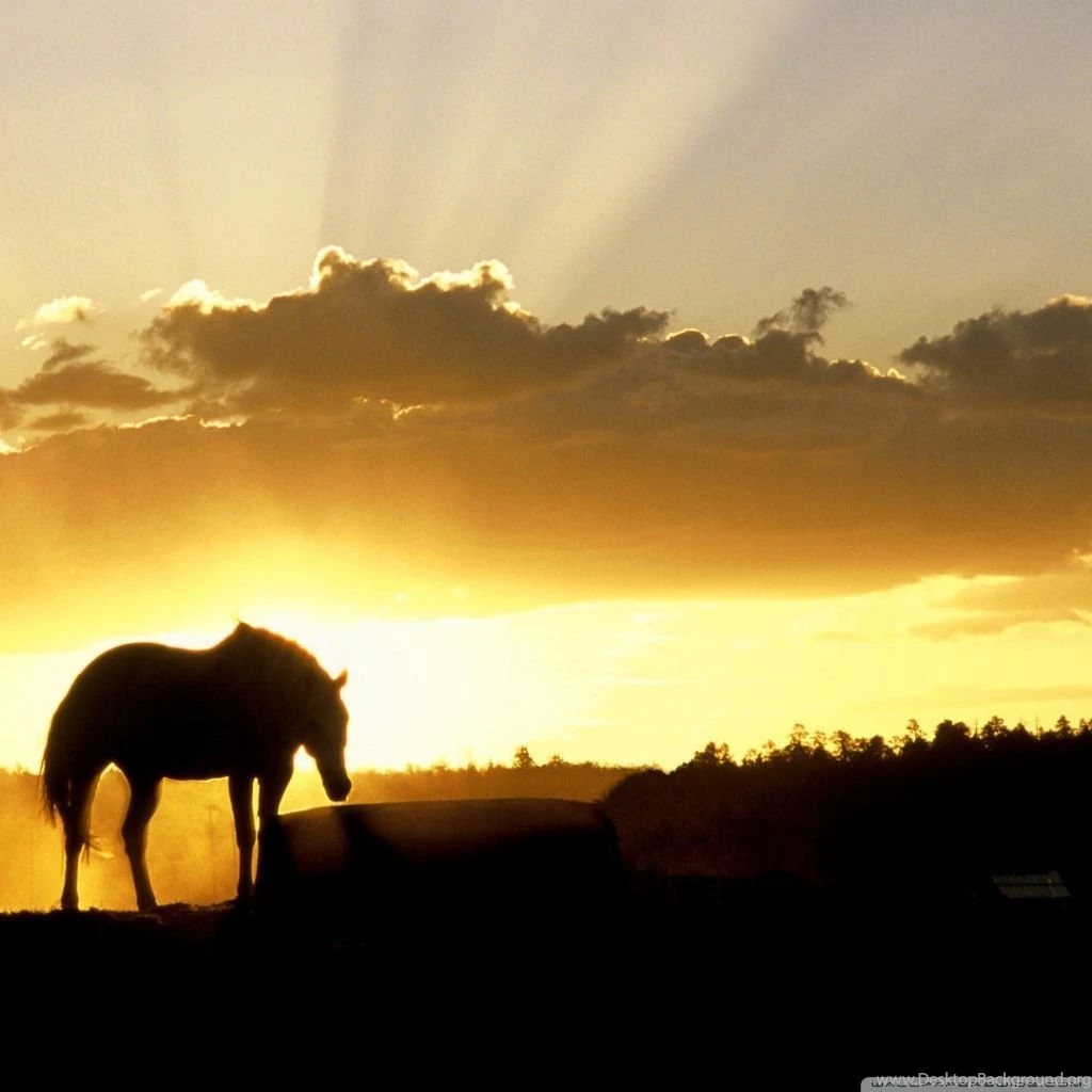 Sundown On The Farm HD Desktop Wallpapers : Widescreen : High ...