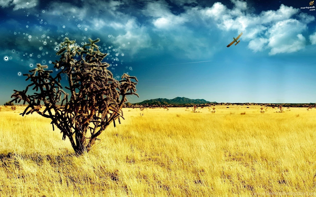 Nature: The Magic Tree, Picture Nr. 47825