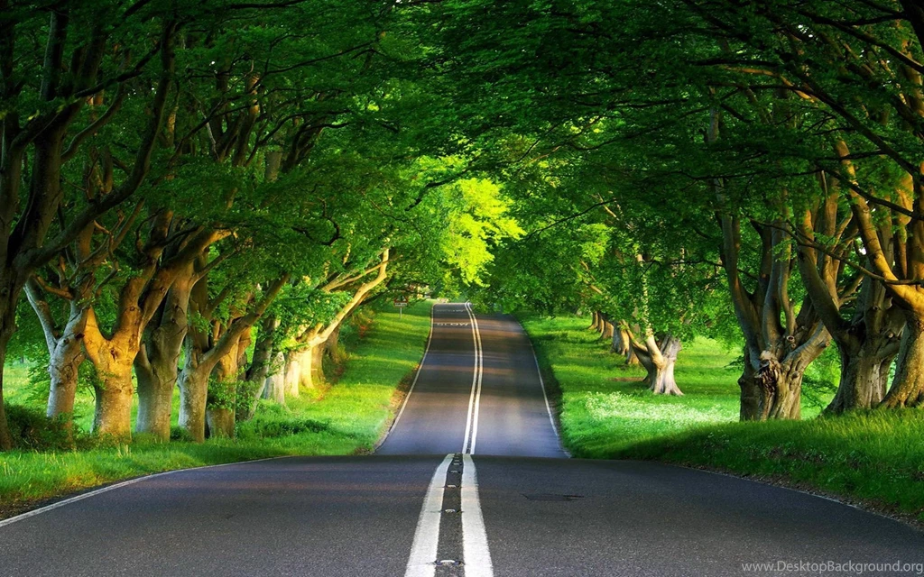 Spring Landscape HD Wallpaper, Spring Landscape Images, New Wallpapers