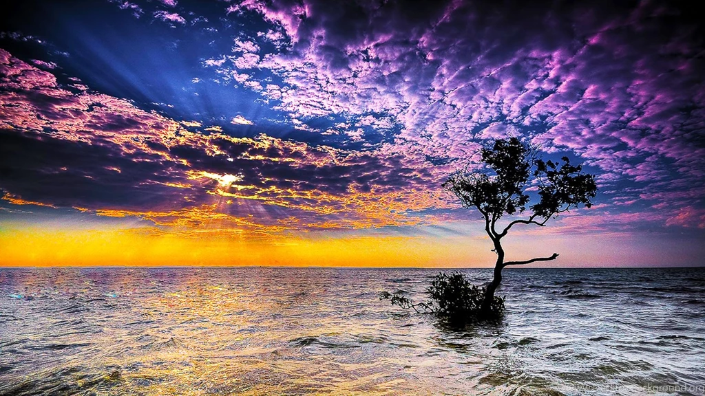 The Lonely >> HD Wallpaper, Get It Now!