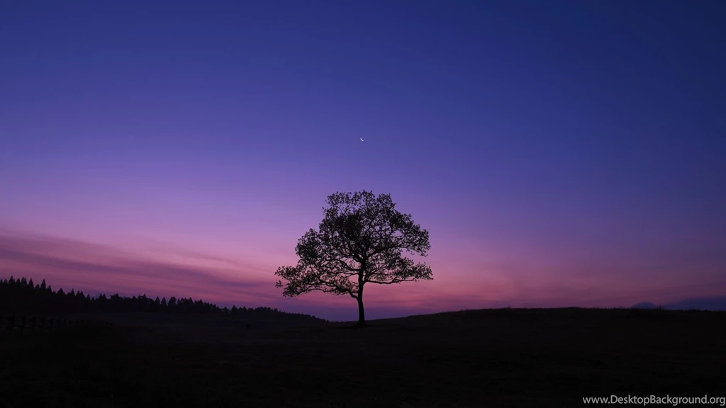 Download Wallpapers 1920x1080 Tree, Night, Moon, Sky, Lonely Full ...