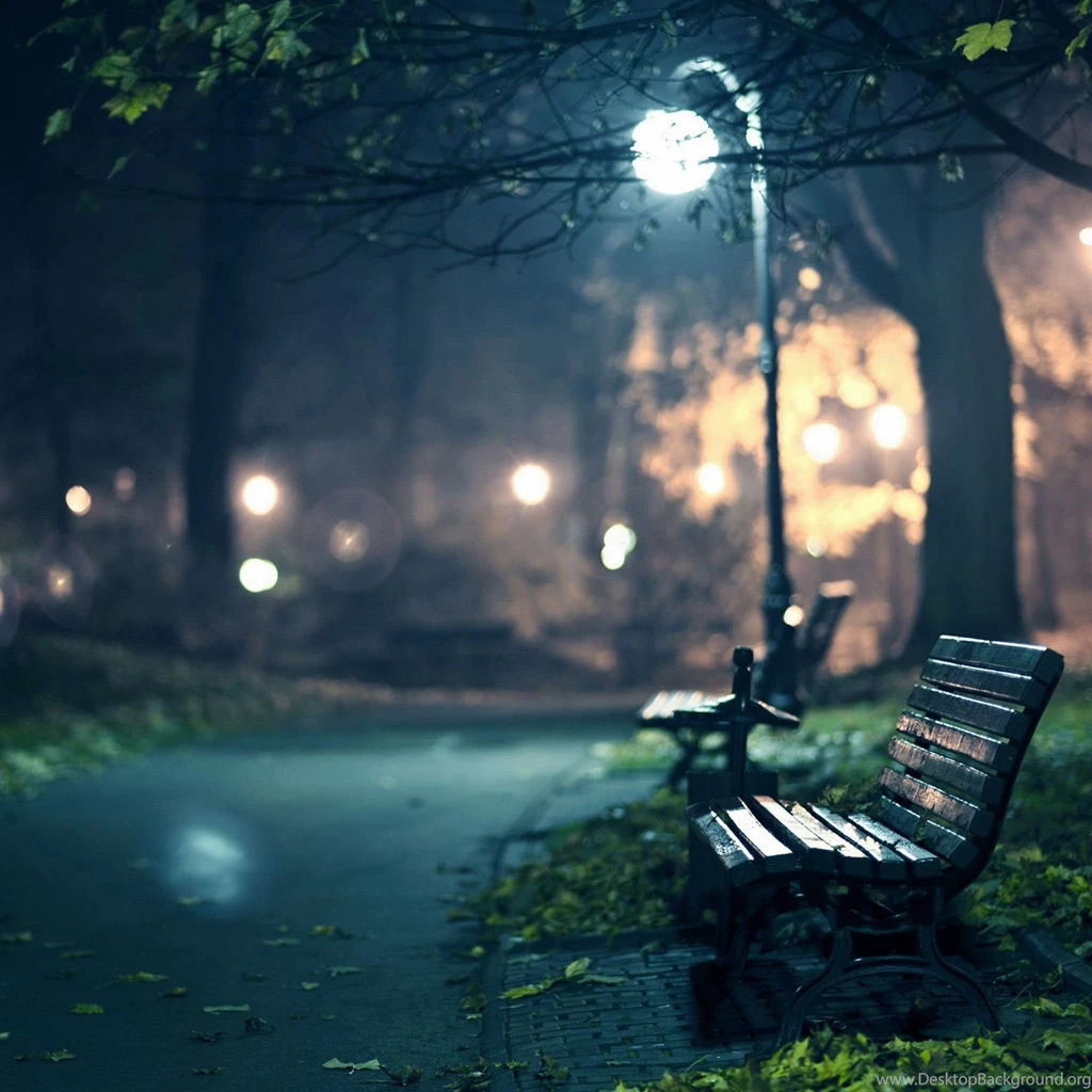 Lonely Beach In The Park Street Light iPad Air Wallpapers Download ...