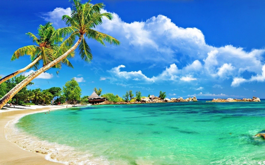 Gallery For   Computer Free Tropical Wallpapers