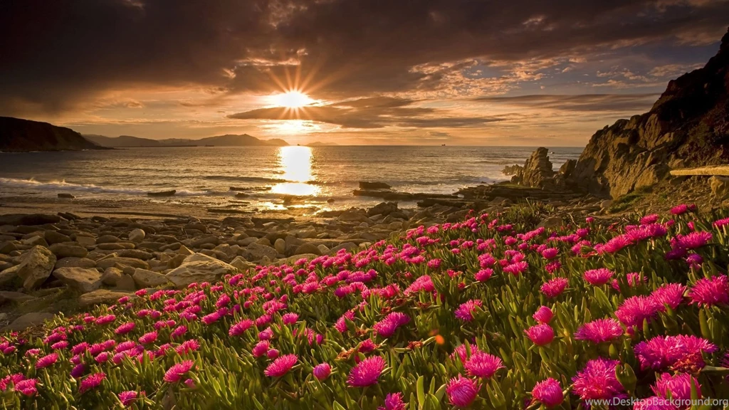 Sunrise Wallpapers Archives   HDWallSource.com   HDWallSource.com