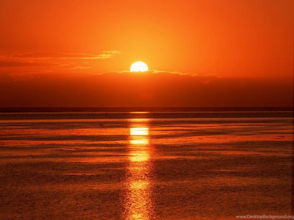 Rise Sun