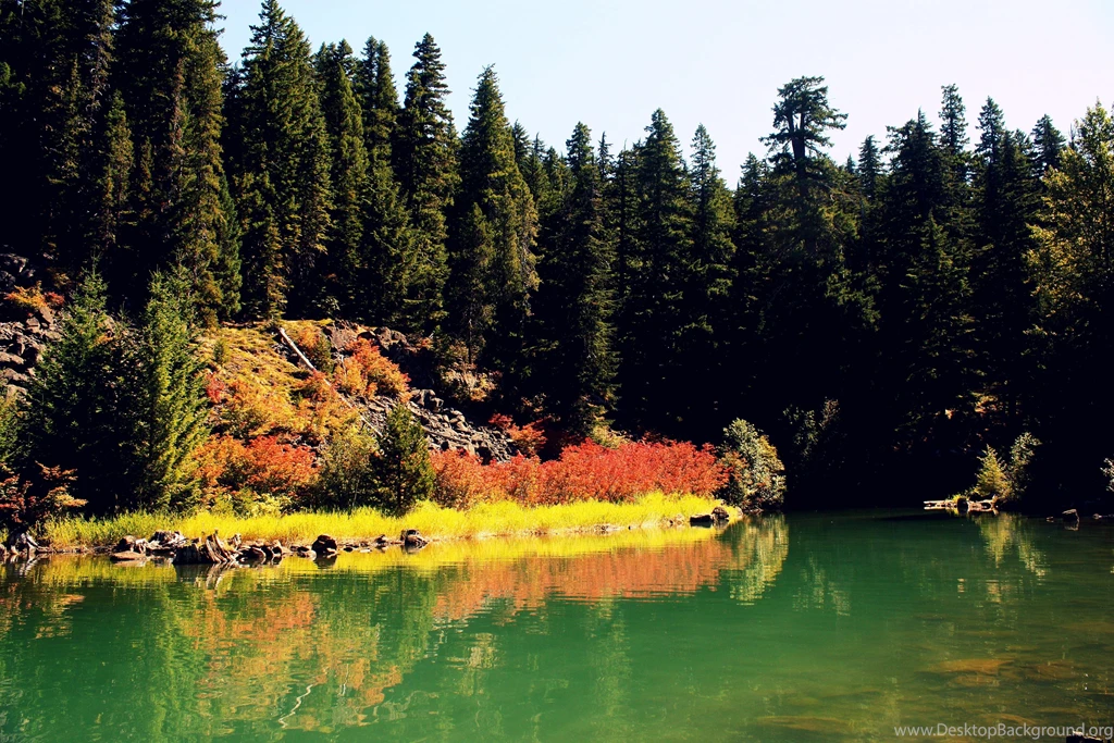 Timothy Lake Free Desktop Wallpapers