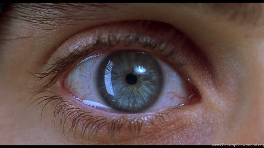 Movies books writers comics: REQUIEM FOR A DREAM