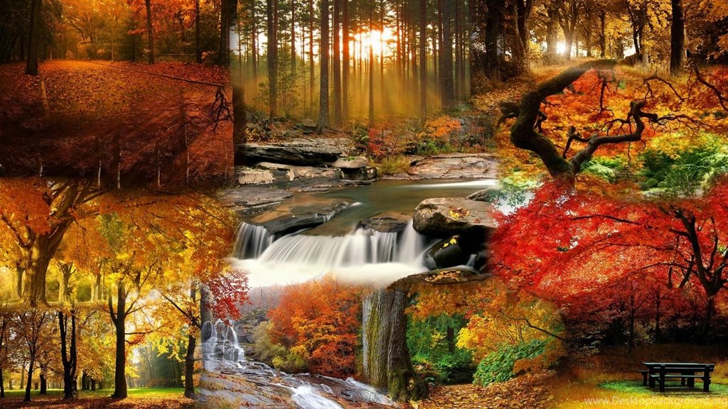 Fall Landscape Wallpapers
