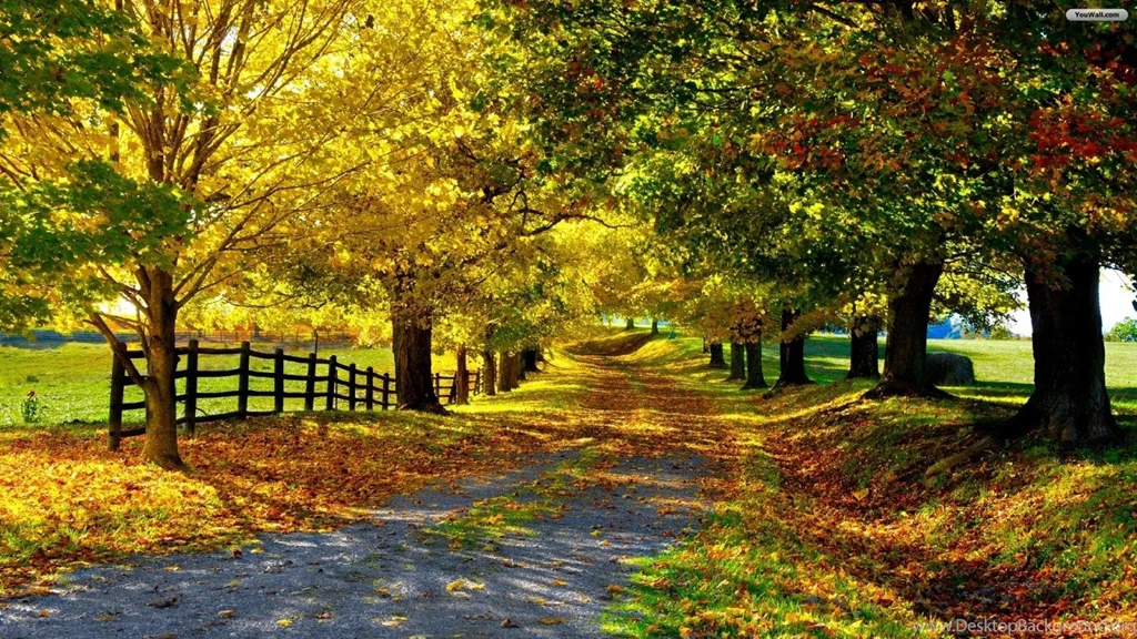 Autumn Landscape Wallpapers
