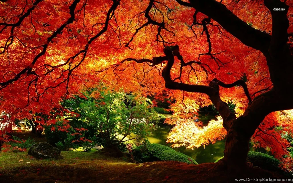 Autumn Landscape Wallpapers Nature Wallpapers