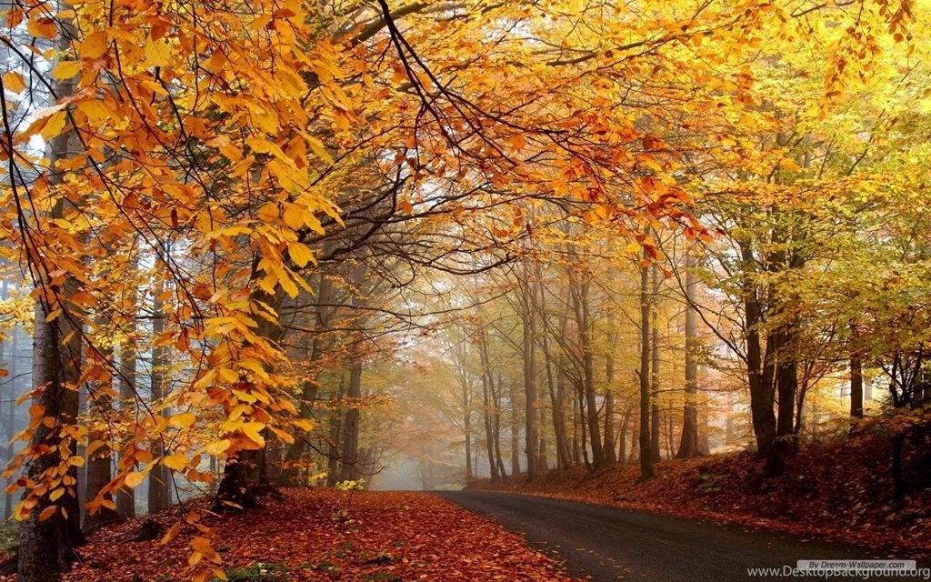 Gallery For   Free Wallpapers Autumn Landscape