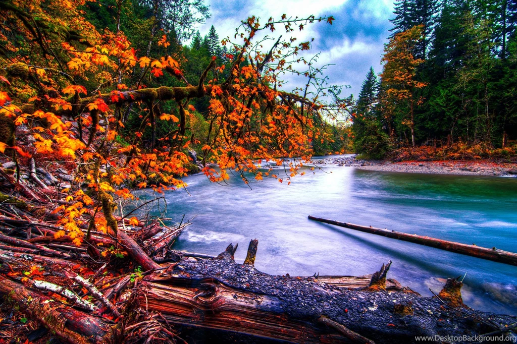 Landscape Nature Autumn Trees Leaves Yellow Shadow Sky Blue ...