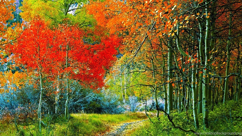 Splash Of Autumn   Desktop Wallpapers